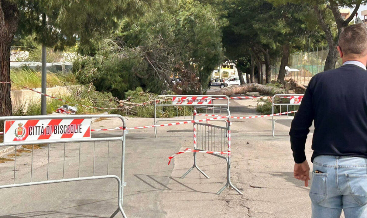 Bisceglie: Alicia Amoruso muore colpita da un albero