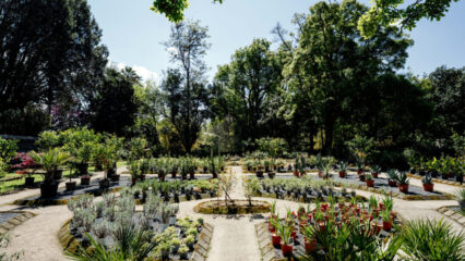 Giornata Europea dei Giardini Storici 2026