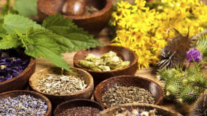 Giornata Mondiale dell'Omeopatia: tra storia e scienza