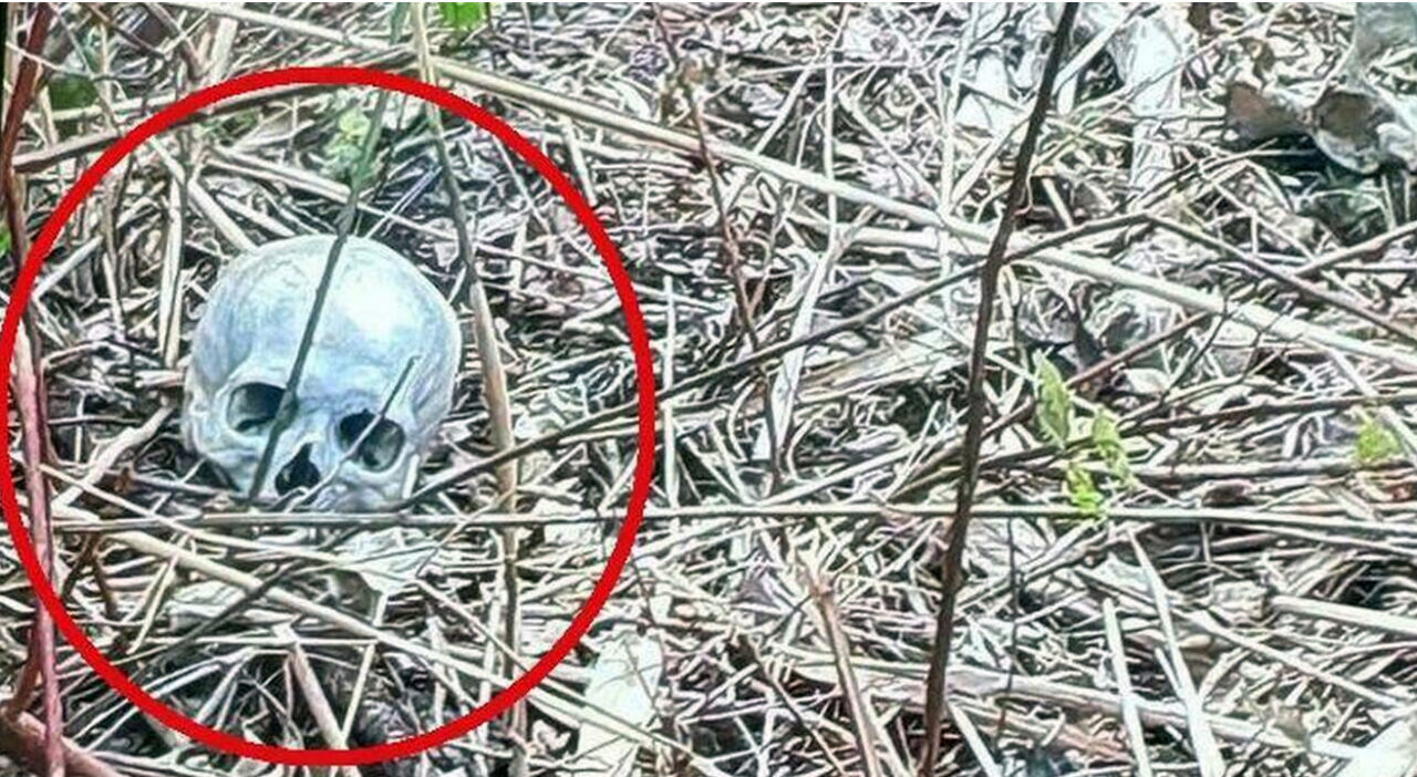 Bari: trovato un teschio umano tra i cespugli del parco Maugeri