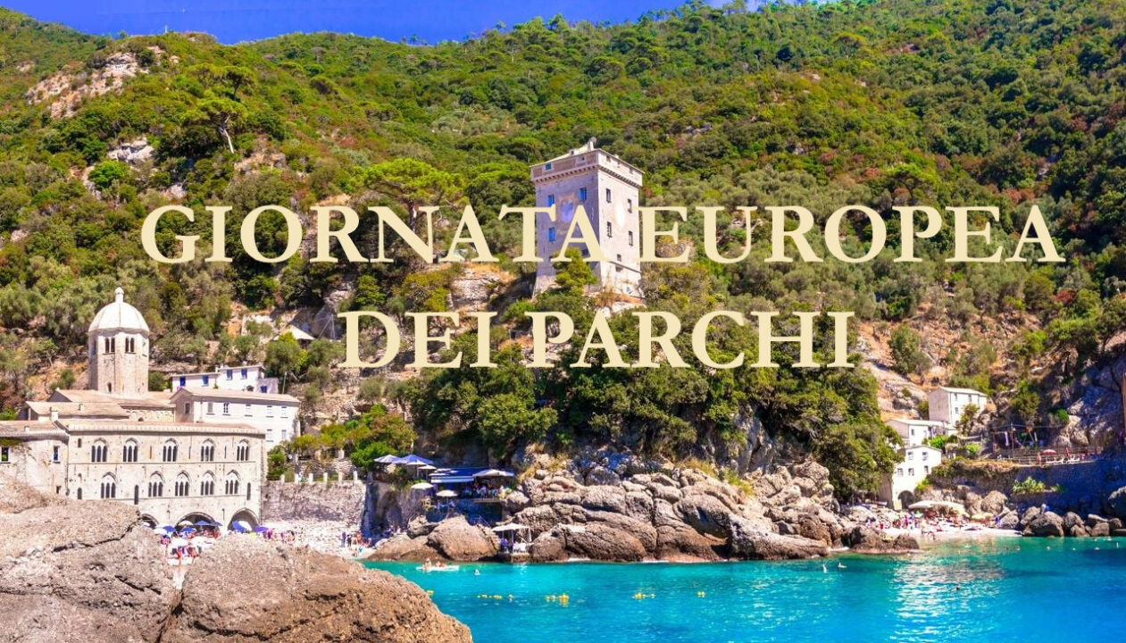 Giornata Europea dei Parchi: l’Italia celebra i suoi polmoni verdi tra biodiversità e turismo sostenibile