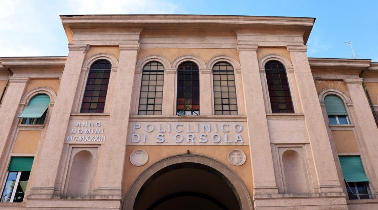 Molinella: punto da un insetto in cortile, muore dopo un giorno di agonia al Sant’Orsola