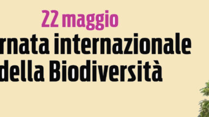 Giornata Internazionale per la Biodiversità: il mosaico della vita