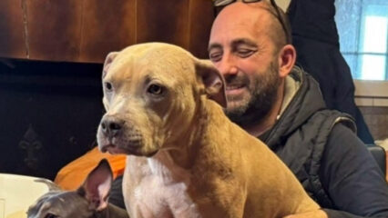 Baricella: adozioni d'urgenza per i 16 cani di Paolo Fravezzi, l'uomo morto a 52 anni