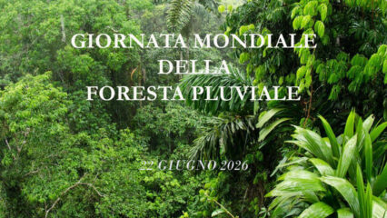 Giornata Mondiale della Foresta Pluviale 2026: perché è cruciale oggi