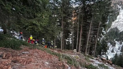 Averara: albero lo travolge mentre lo taglia, muore il 23enne Michele Regazzoni