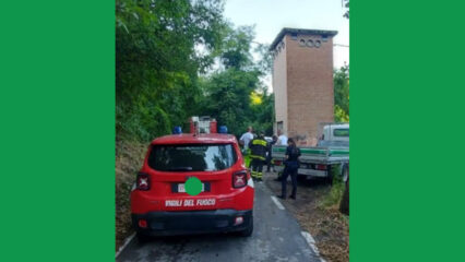 Bologna, il vento fa strage di alberi: cento persone isolate in via di Ravone