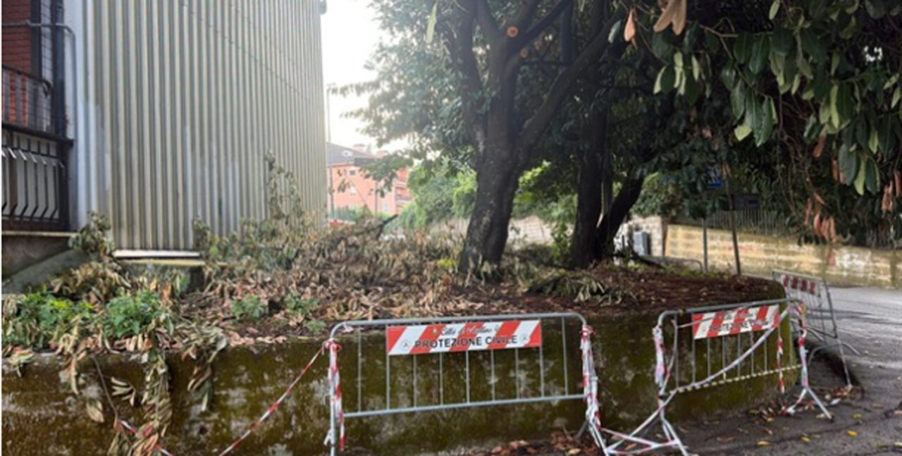 Avellino: temporale e frana a San Tommaso. Case isolate a Contrada Cesine e alberi abbattuti