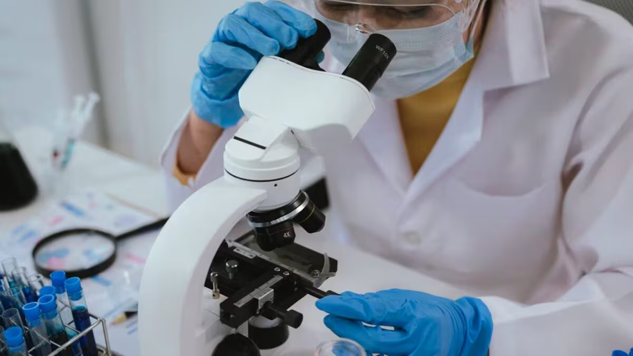 “Biologi nelle Scuole 2026/2027”: 200 posti disponibili per attività didattiche nella scuola primaria