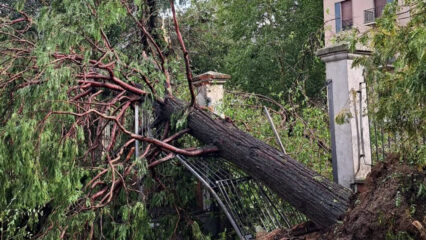 Cremona: danneggiati il Duomo e la Torre Civica, alberi sradicati e due feriti