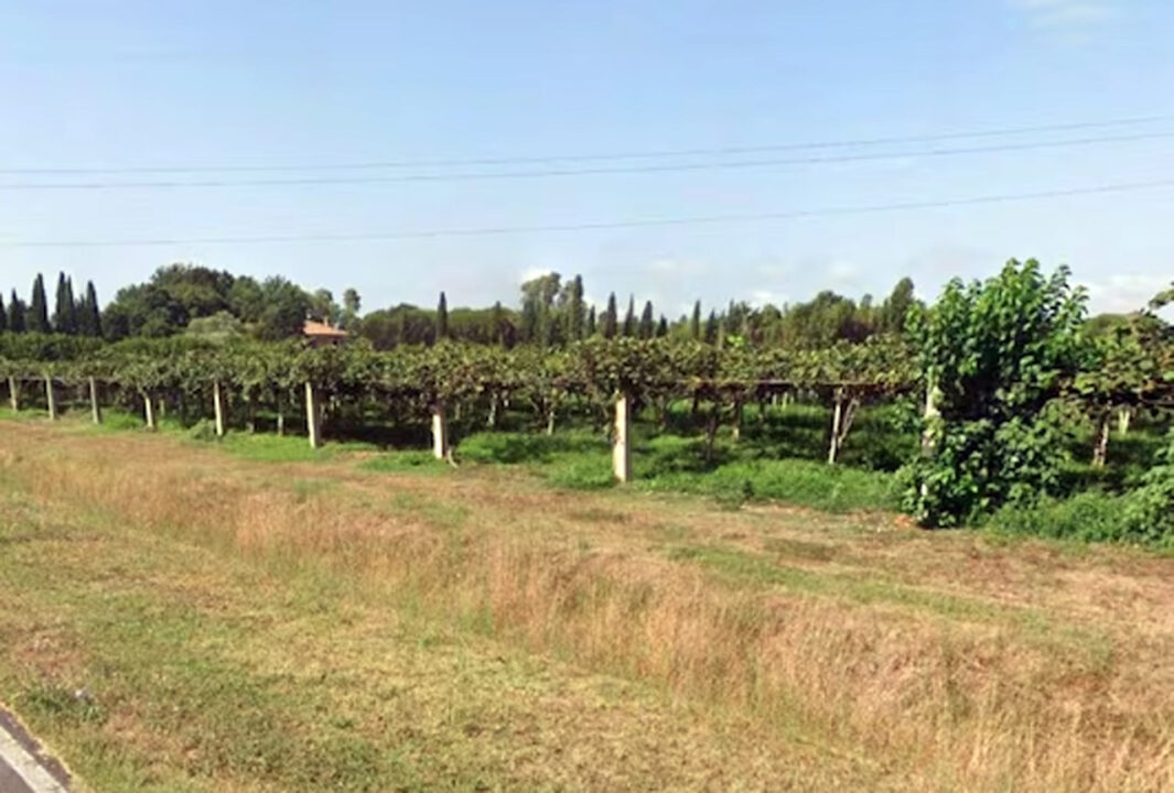 Prato Cesarino: Danilo Bordin e Vanda Pegorin trovati morti in strada