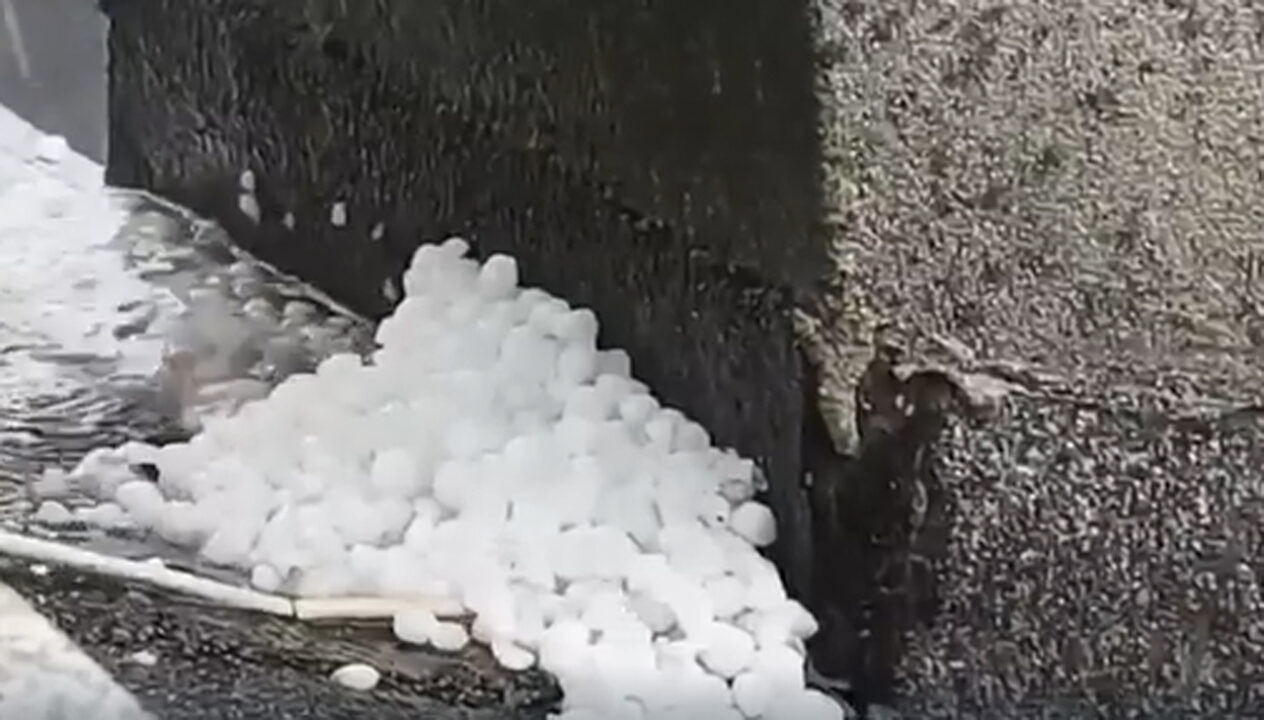 Maltempo killer in Campania: grandine come noci, alberi abbattuti e trombe d’aria