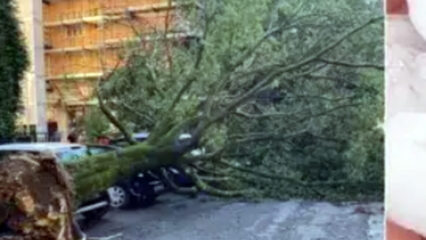 Milano: scatta l'allerta arancione per temporali e vento fino a 110 km/h: parchi chiusi e cimiteri a orario ridotto