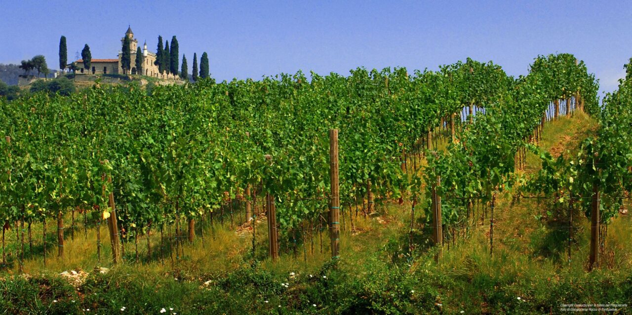 Franciacorta in Cantina, il festival che mette al centro la conoscenza