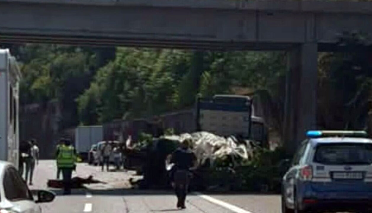 Autostrada A18: camionista travolto e ucciso sulla corsia d’emergenza tra Fiumefreddo e Giarre