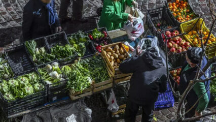 Giornata Mondiale contro lo Spreco Alimentare: oltre 5 milioni di tonnellate di cibo gettato