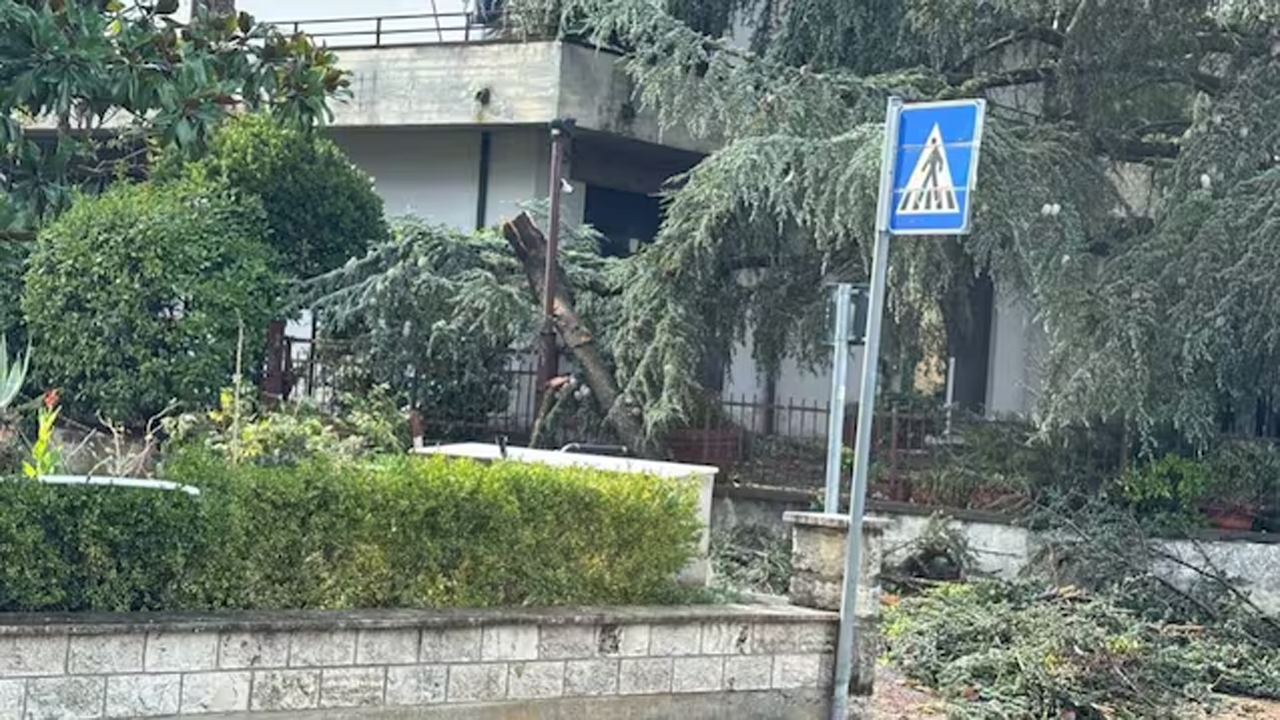 Sinalunga: donna muore travolta dalle schegge di vetro in casa, scoperchiato il Palazzetto dello Sport