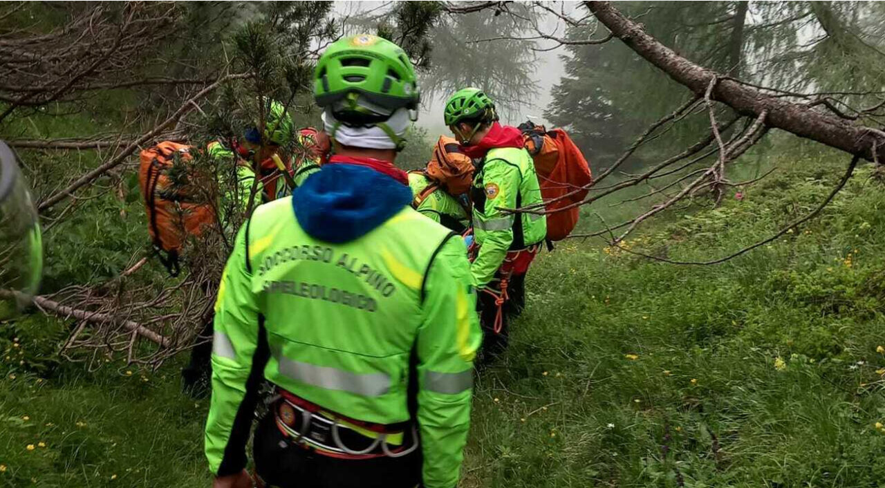 Altopiano del Cansiglio: 76enne di Tambre muore mentre cercava funghi nei boschi